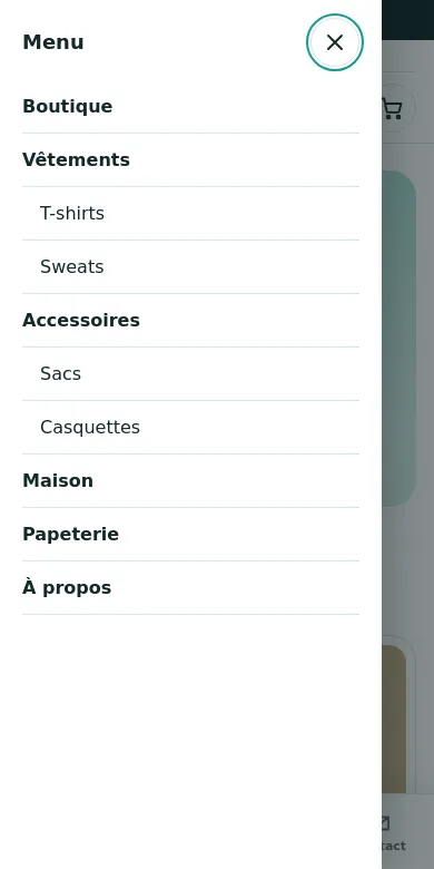 Menu principal du thème WordPress Websource ouvert en panneau latéral sur téléphone