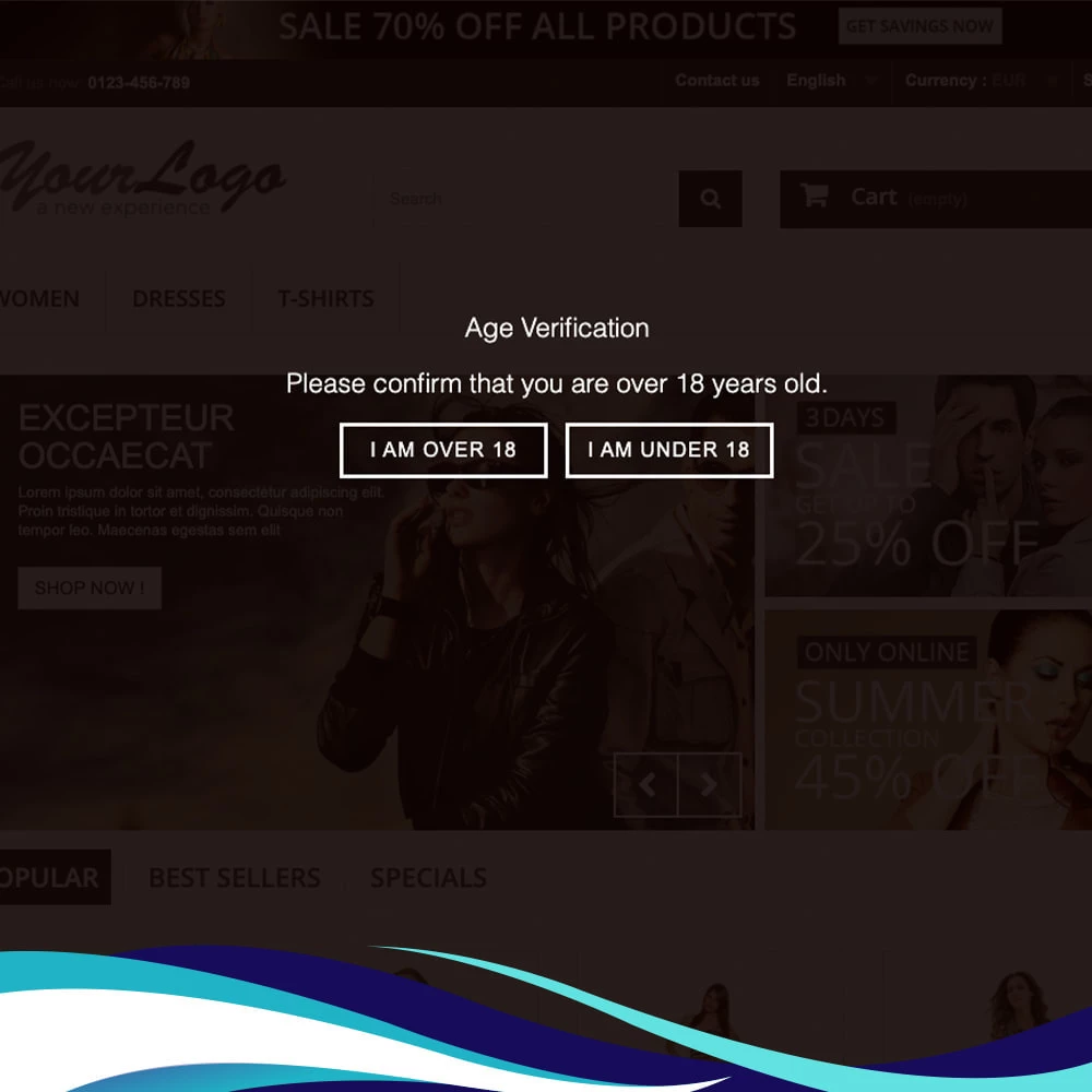 Agence web websource