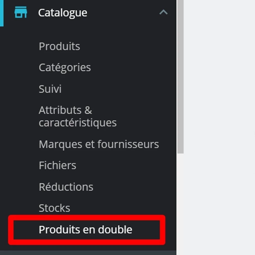 Agence web websource