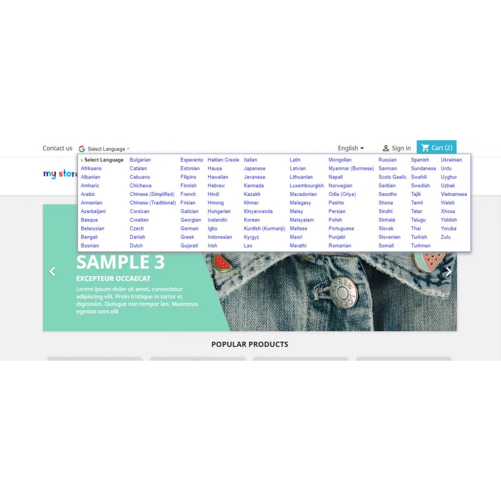 Agence web websource