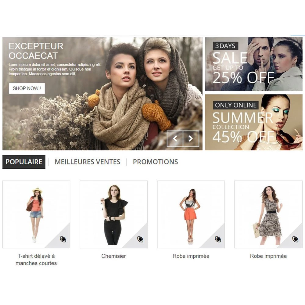 Agence web websource