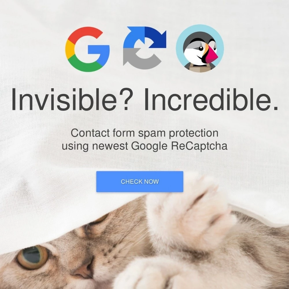 Agence web websource