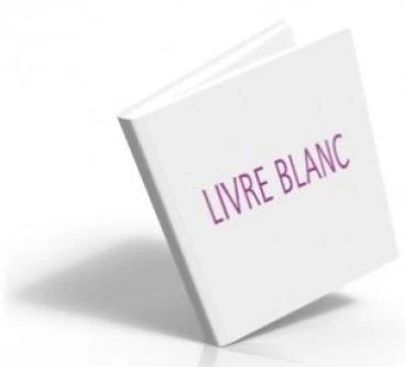 Qu'est-ce qu'un livre blanc ?