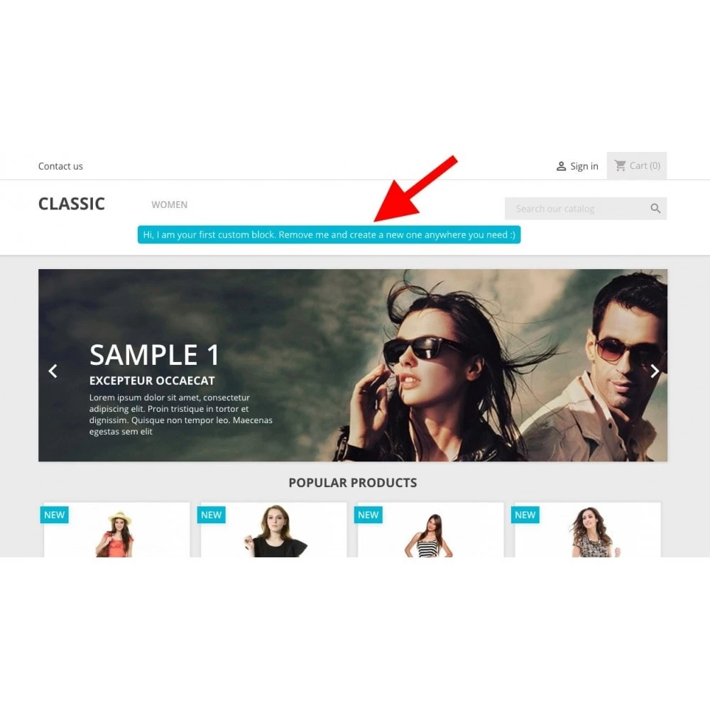 Agence web websource