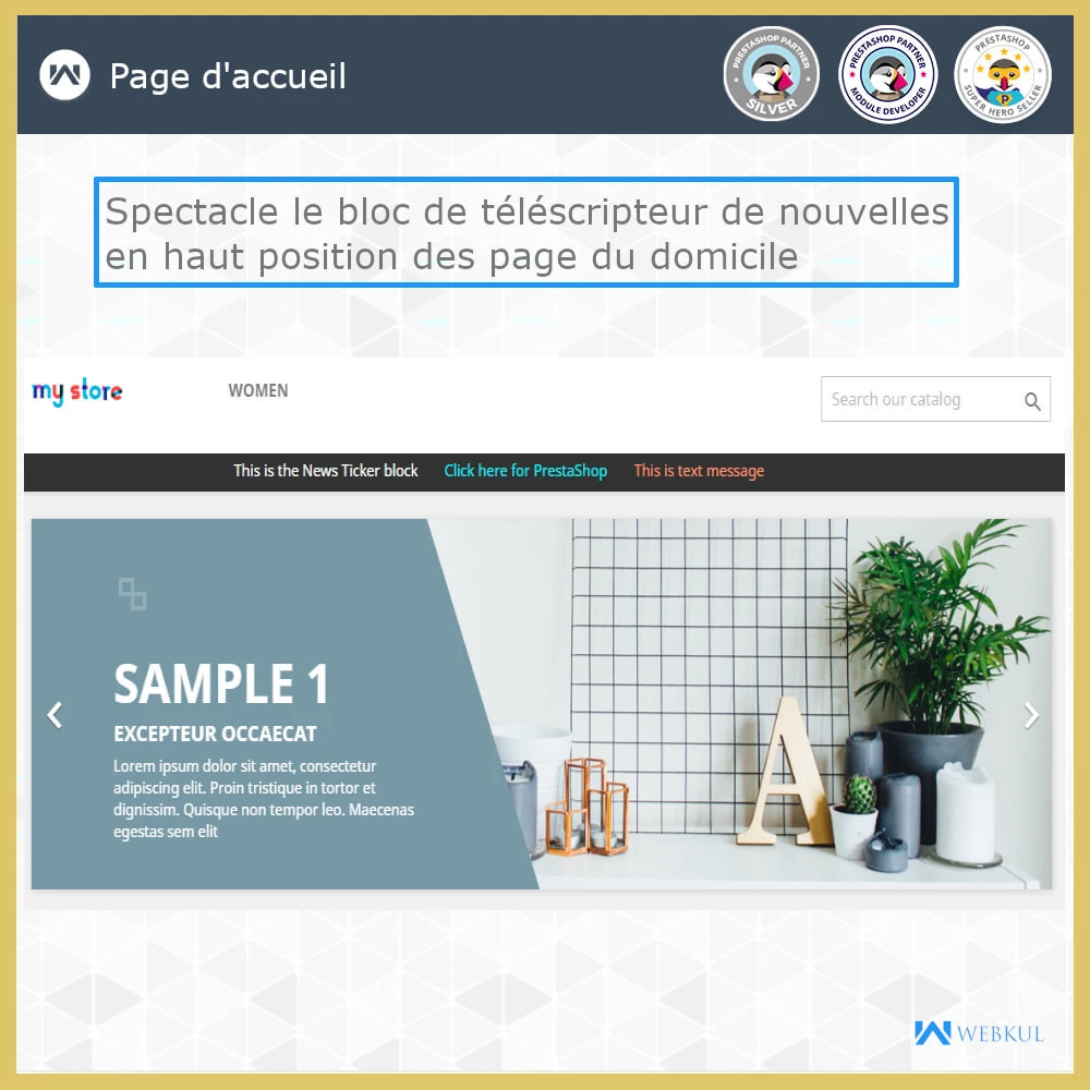 Agence web websource