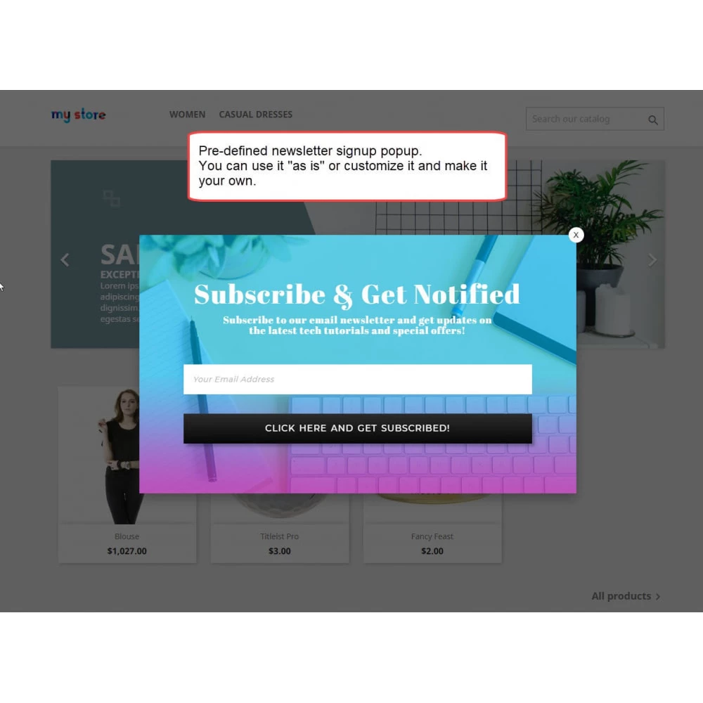 Agence web websource