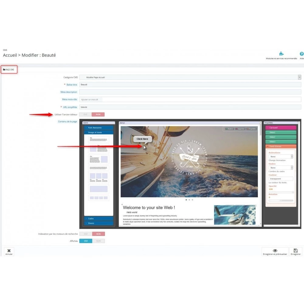 Agence web websource