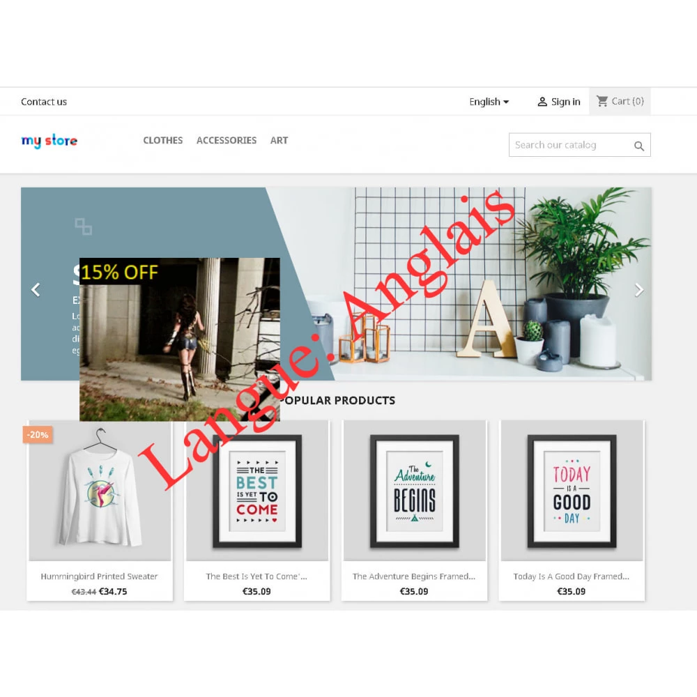 Agence web websource