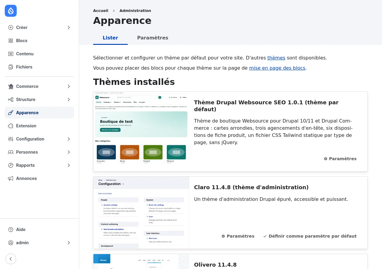 Le Thème Drupal Websource SEO dans la page Apparence