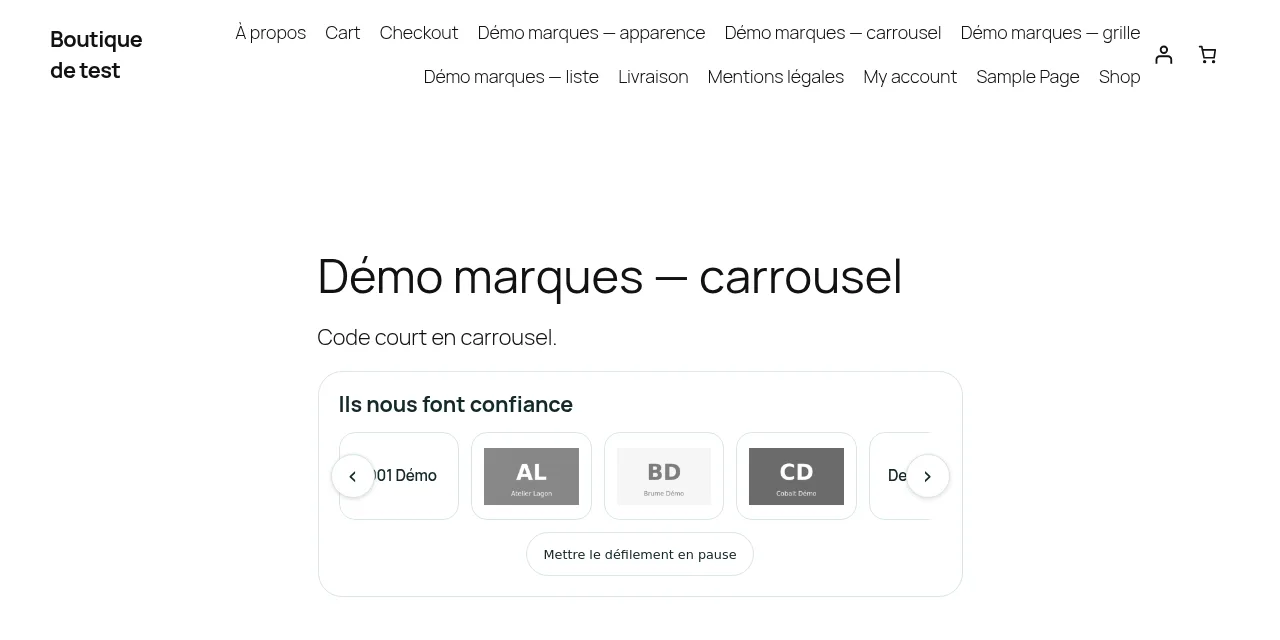 Les marques en carrousel, avec les flèches et le bouton de pause