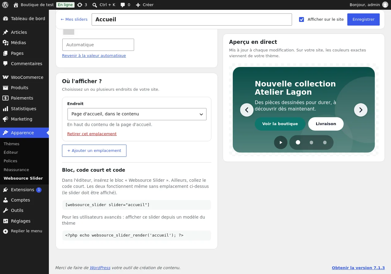 Choix des emplacements du slider, code court et code pour les modèles du thème