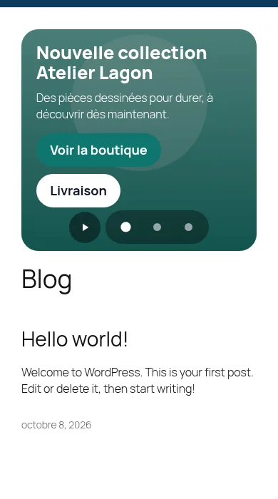 Le même slider sur téléphone : image dédiée, boutons empilés, pas de flèches
