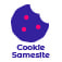 Module Cookie Samesite