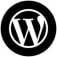 Module WordPress blog post display PRO