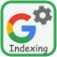 Module Google Indexing API