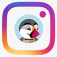 Module Instagram Feed New API
