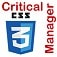 Module Critical Path CSS Manager