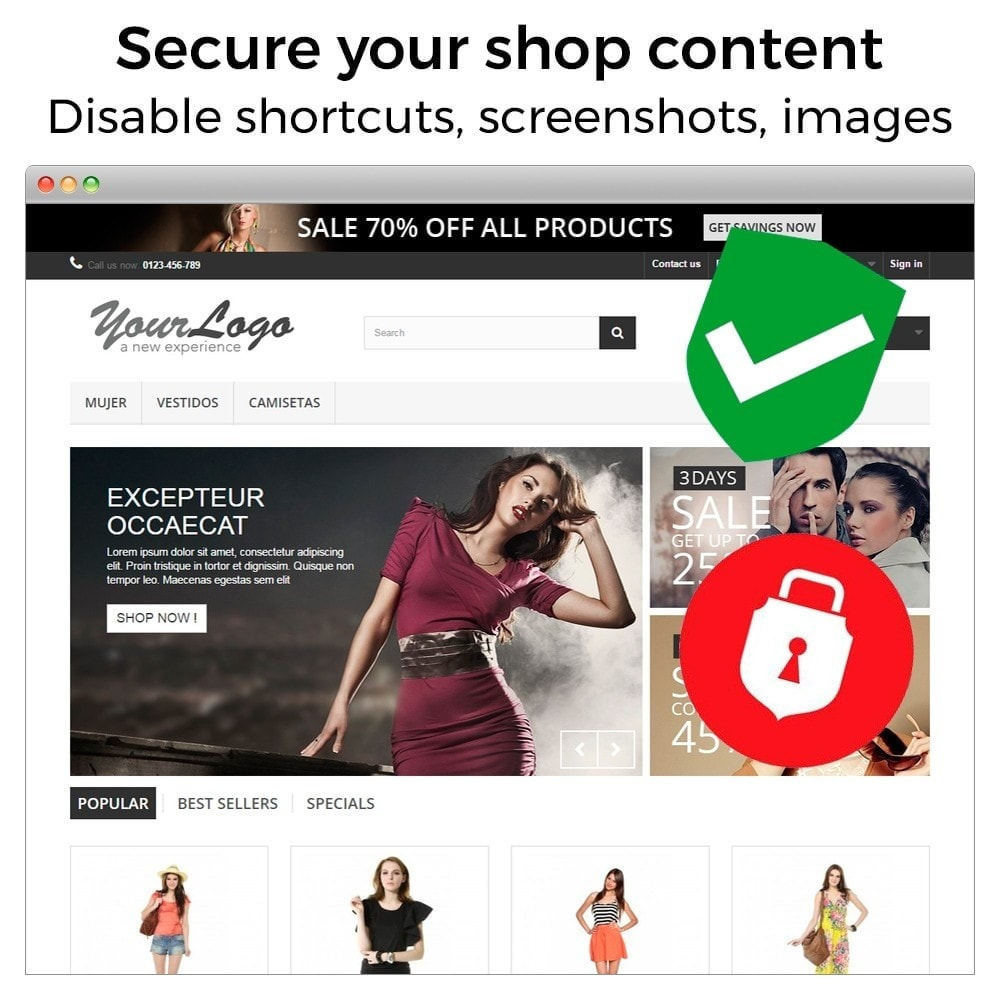 Module Content Protection - Secure your shop