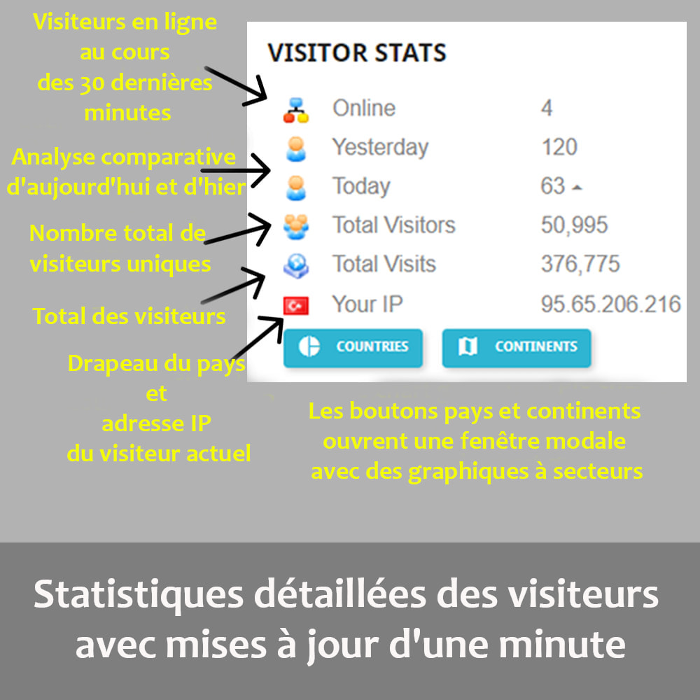 Module Statistiques des visiteurs sur la page d'accueil