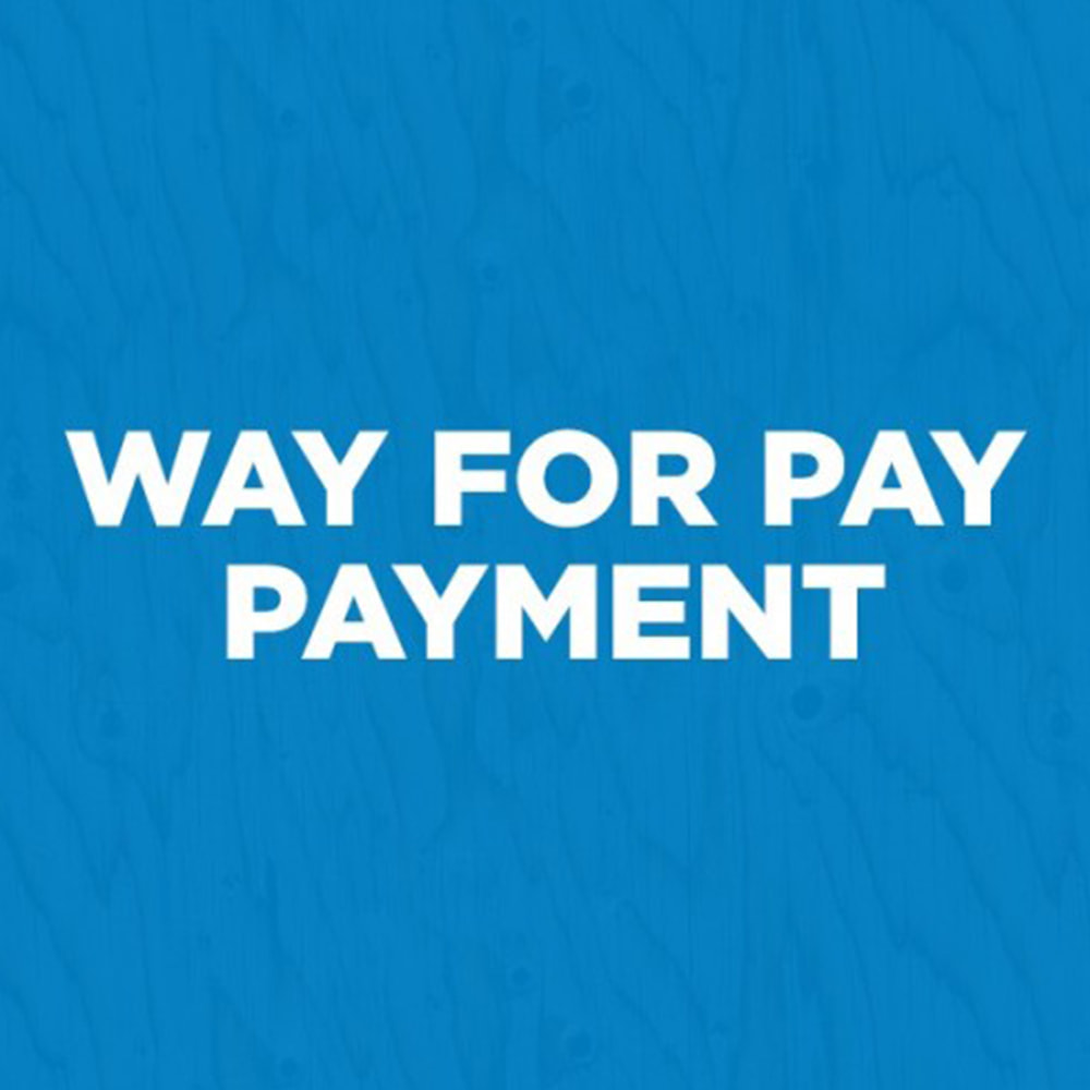 Module WayForPay Payment