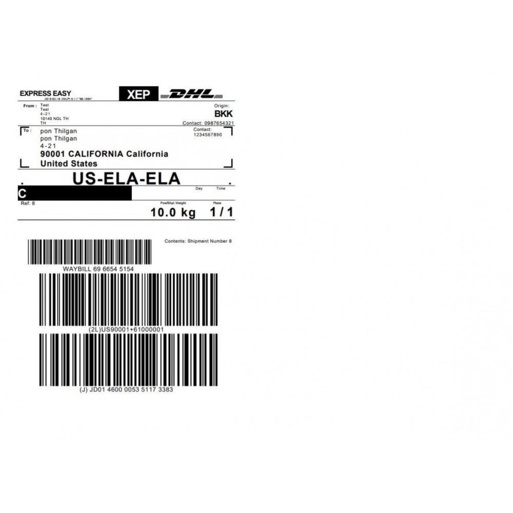 Module DHL Express Shipping with Print Label