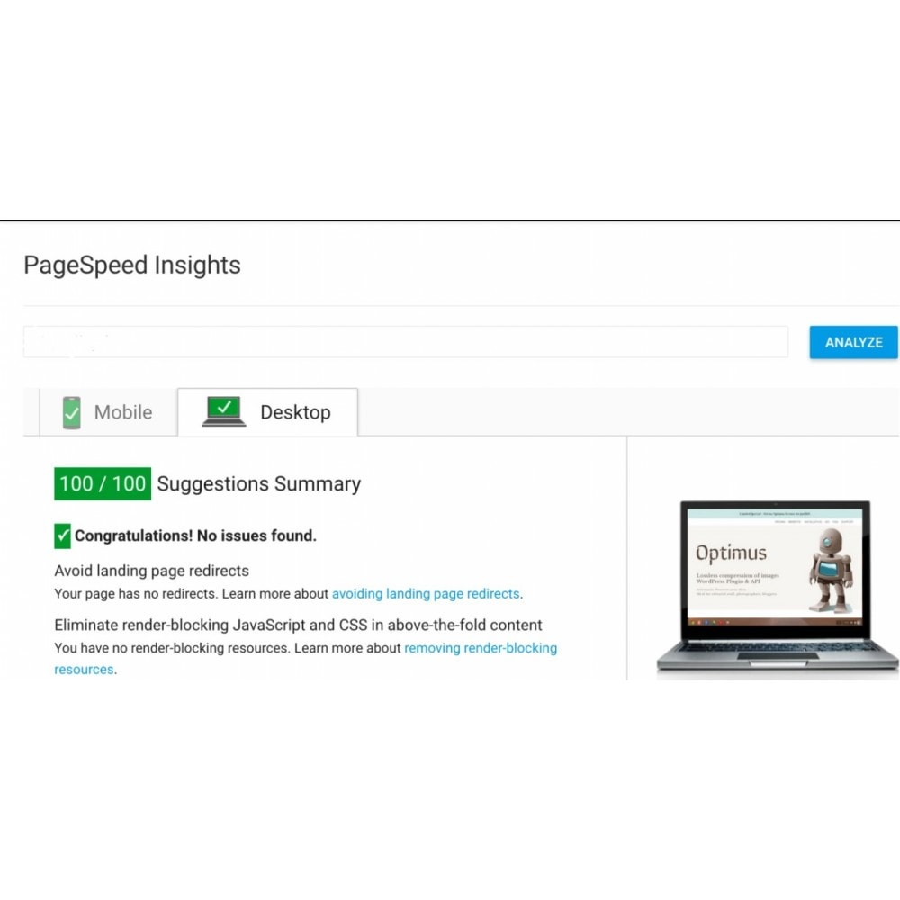 Module PageSpeed Insights