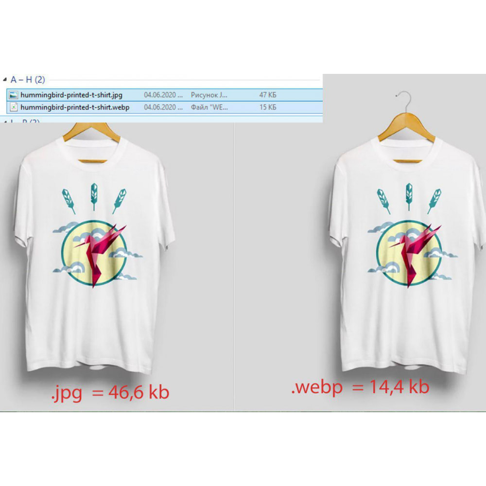 Module Webp convertor images PageSpeed optimization