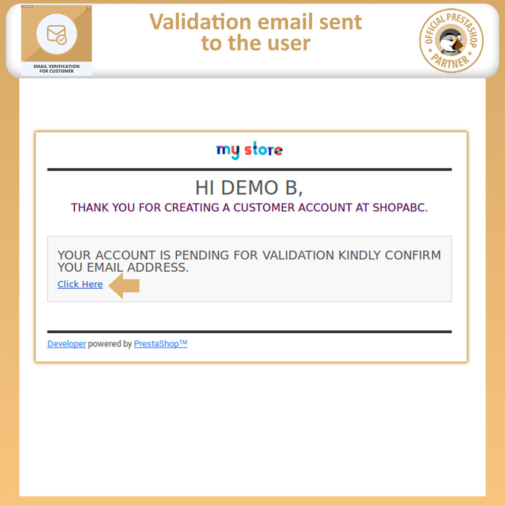 Module Email Verification for Customer Activation