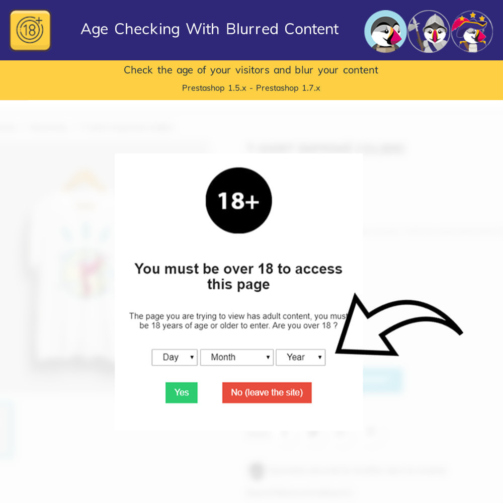 Module Vérification de l'âge pour le contenu réglementé Pro