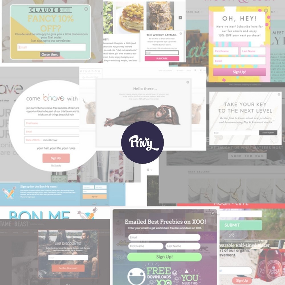 Module Privy integration - popups to grow your email list