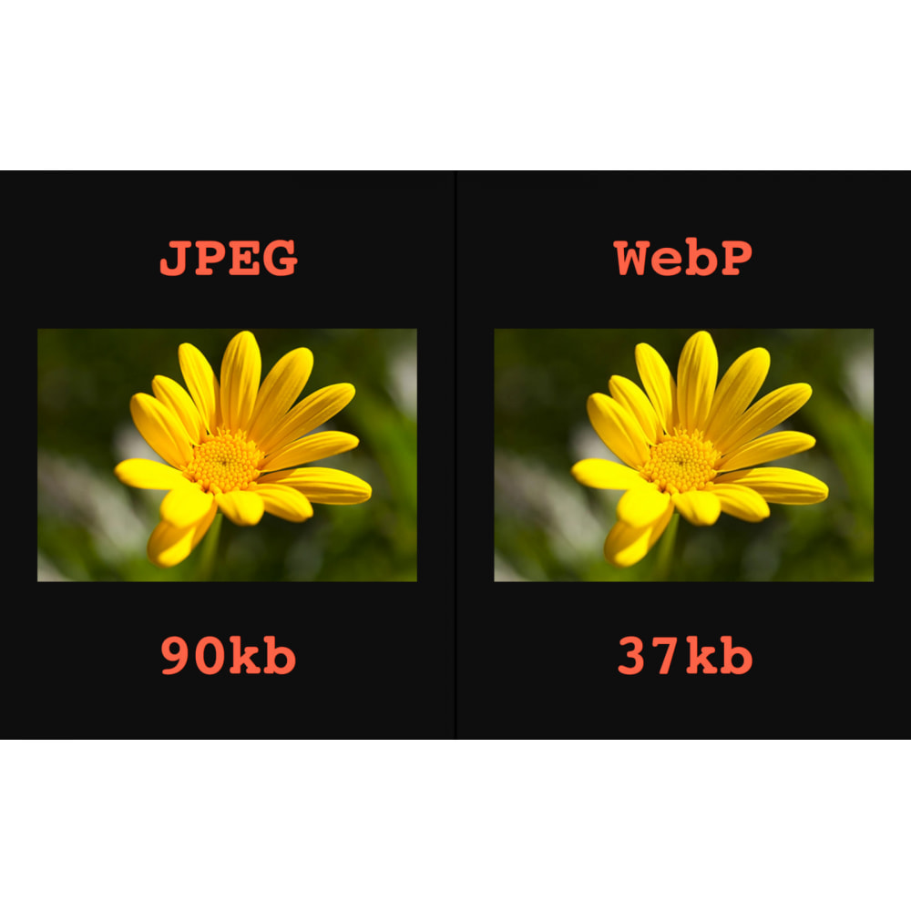 Module Image: WebP, Compression, Régénération