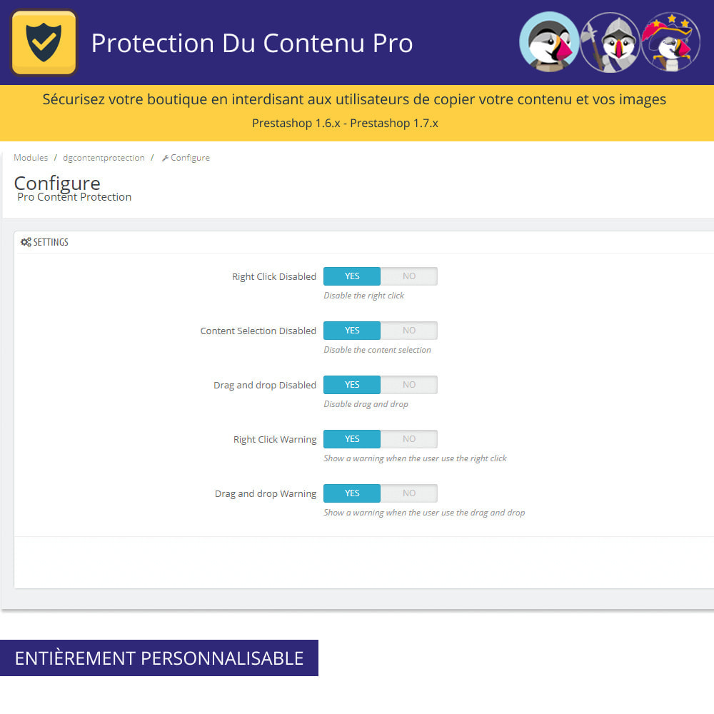 Module Protection De Contenu Pro - Protéger votre contenu