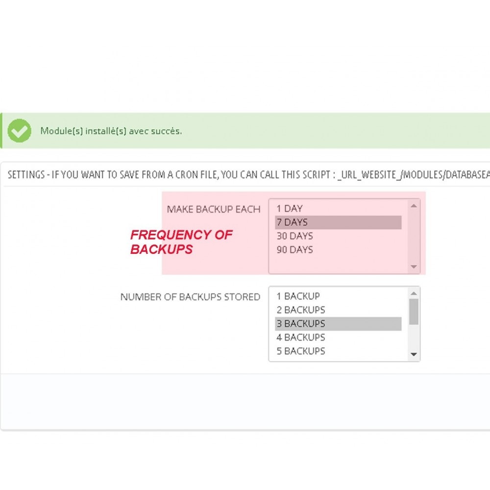 Module DATABASE AUTO BACKUP