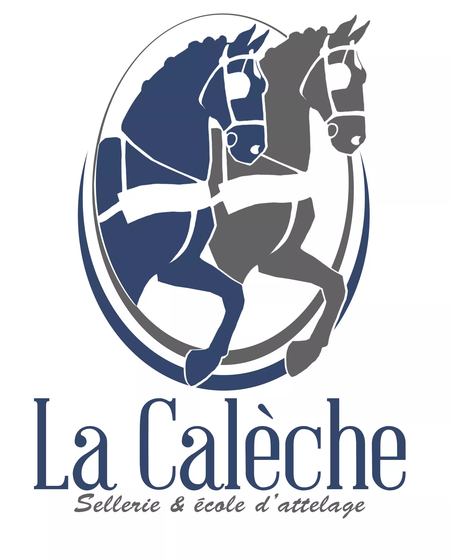                                                                                                     Sellerie la calèche
                                                                                            
