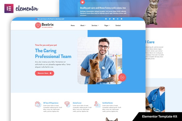 Beetrix - Pet Clinic &amp; Hospital Elementor Template Kit