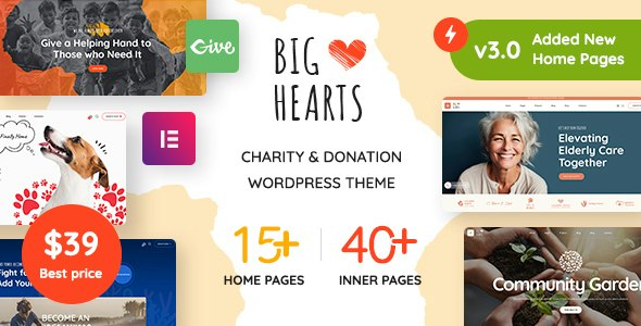 BigHearts - Charity &amp; Donation WordPress Theme