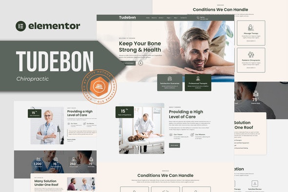 Tudebon - Chiropractic &amp; Physiotherapy Elementor Template Kit